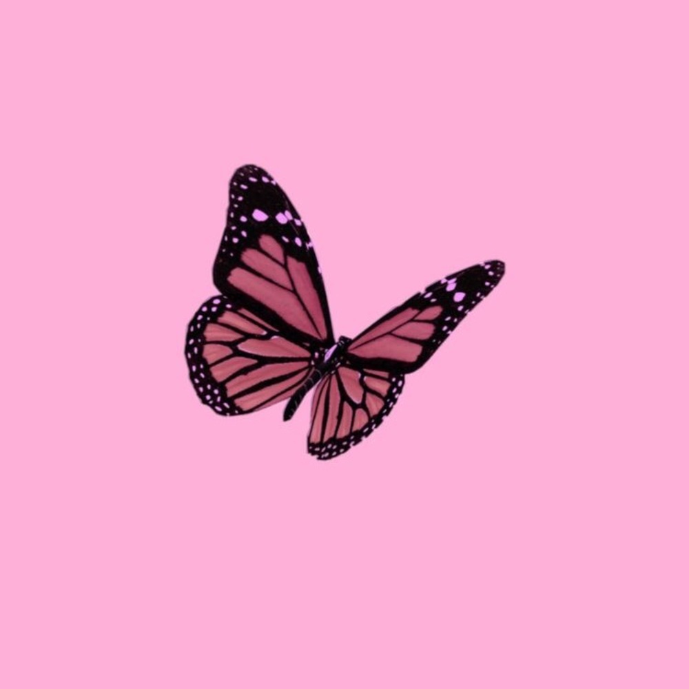 Meet your Posher, Maddie